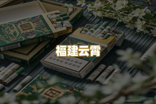 福建云霄